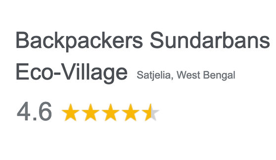 Google Reviews